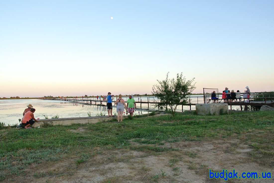 База отдыха Плай - территория. Курорт Рассейка. Фото N 7742. 2016 год